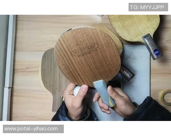 乒乓球新手必看：从零基础到技术入门的全面攻略与实用技巧分享