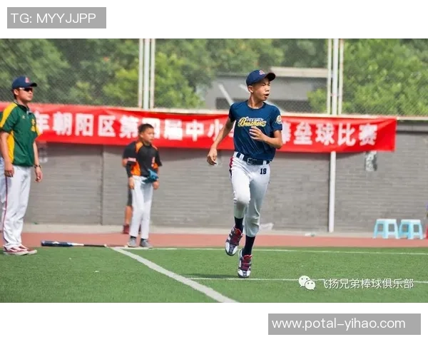 南京羽毛球队的奋斗与荣耀：一段不平凡的突破之路纪实